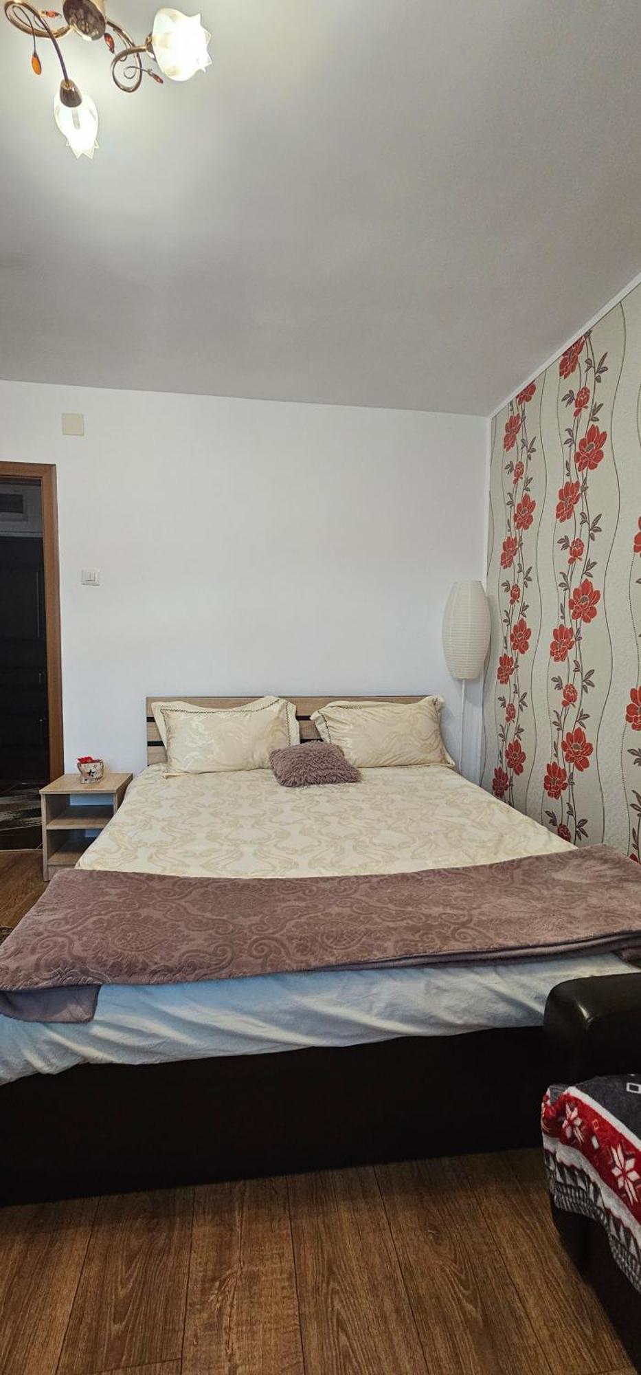 Casa Suzana Apartment Piatra Neamt Exterior photo